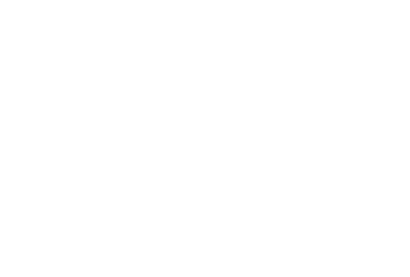 Articy API